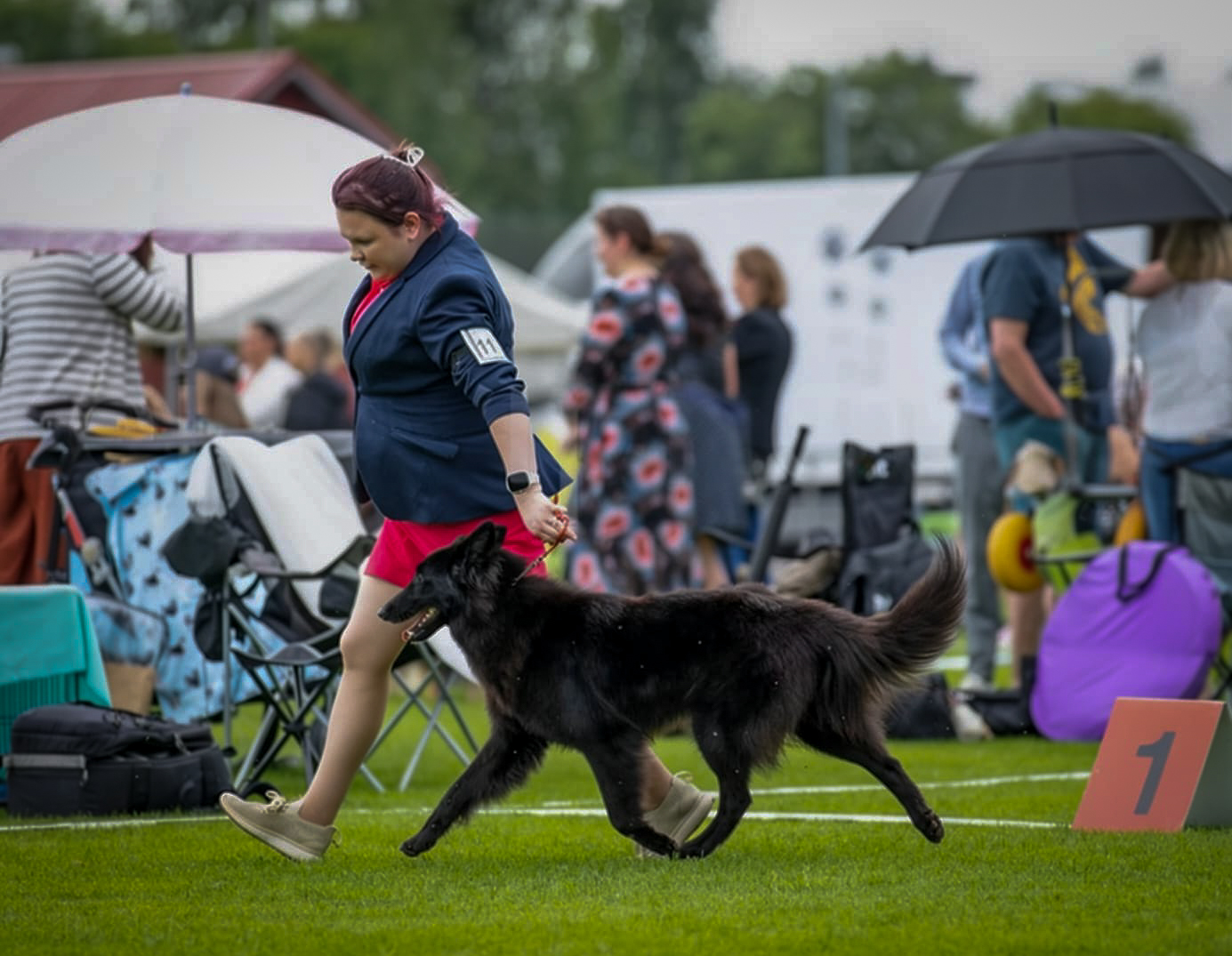 Kasvattaja ja koira